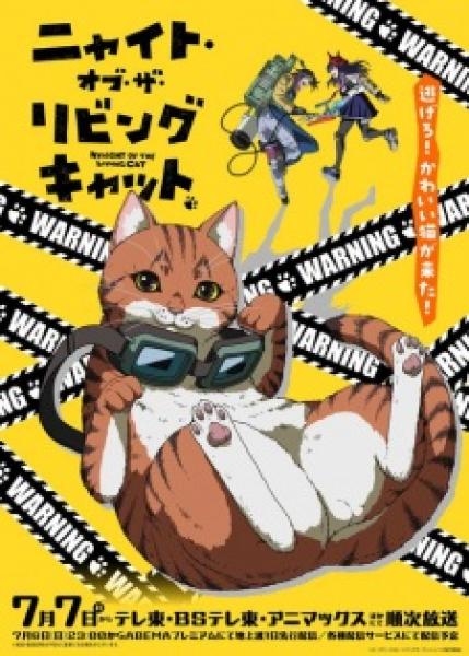 أنمي Nyaight of the Living Cat  مترجم