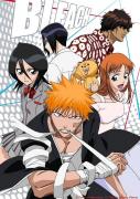 انمي Bleach الموسم الاول مترجم
